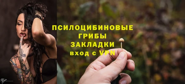амф Дубна