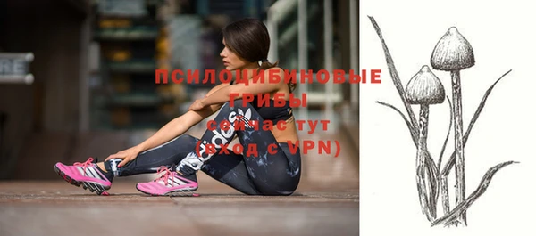эйфоретик Михайлов