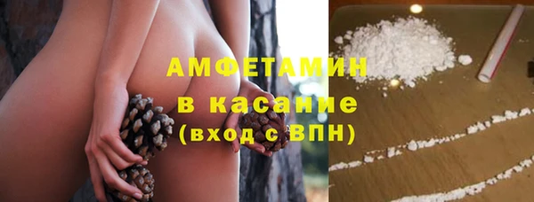 прущие грибы Дрезна