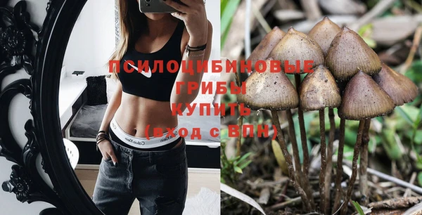 таблы Жердевка