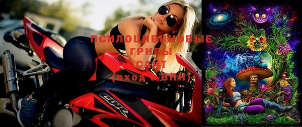 эйфоретик Михайлов