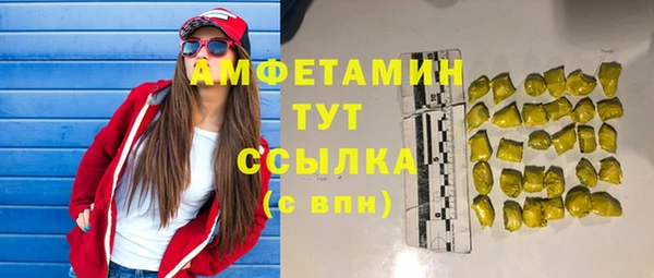 амф Дубна